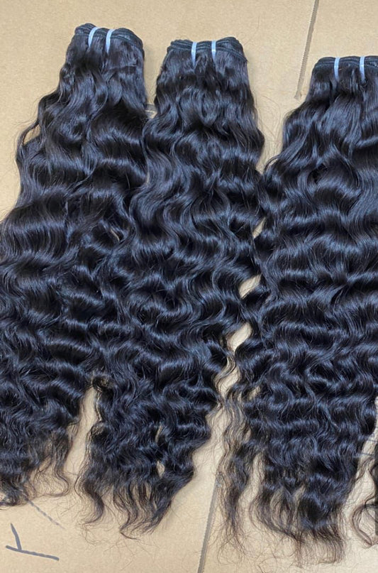 BURMESE CURLY
